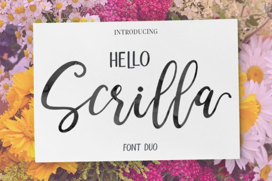 Hello Scrilla Script Font  Font